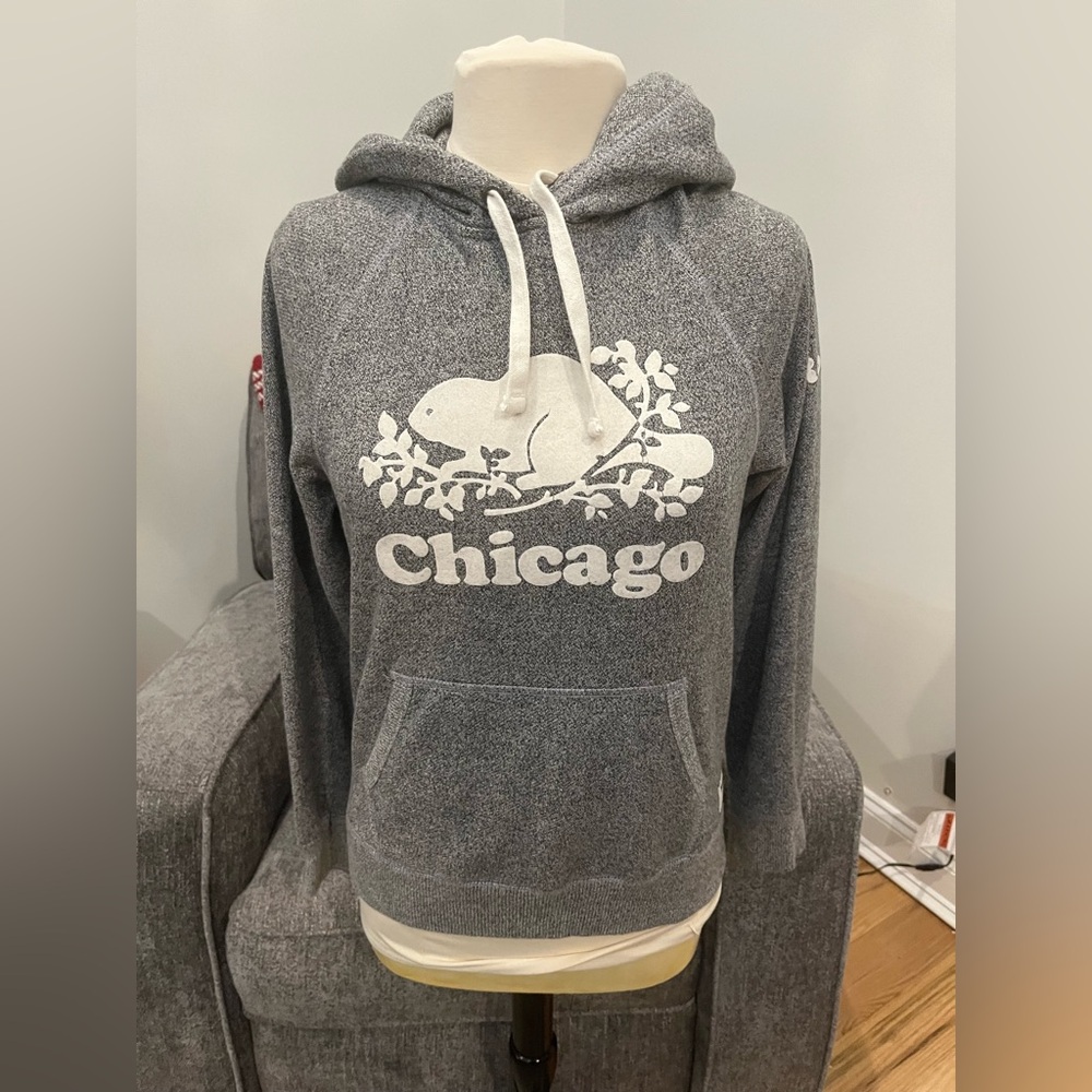 Chicago Roots Gray Hoodie‎ Sz S/p